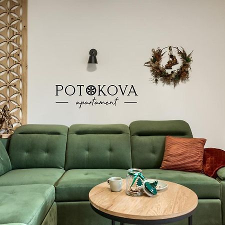 Potokova Apartament Centrum Закопане Екстер'єр фото