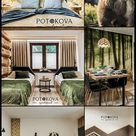 Potokova Apartament Centrum Закопане Екстер'єр фото