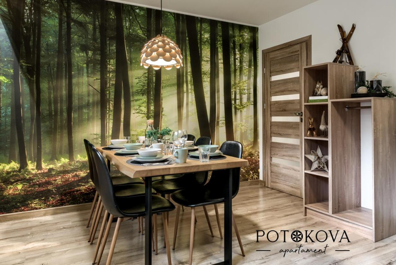 Potokova Apartament Centrum Закопане Екстер'єр фото