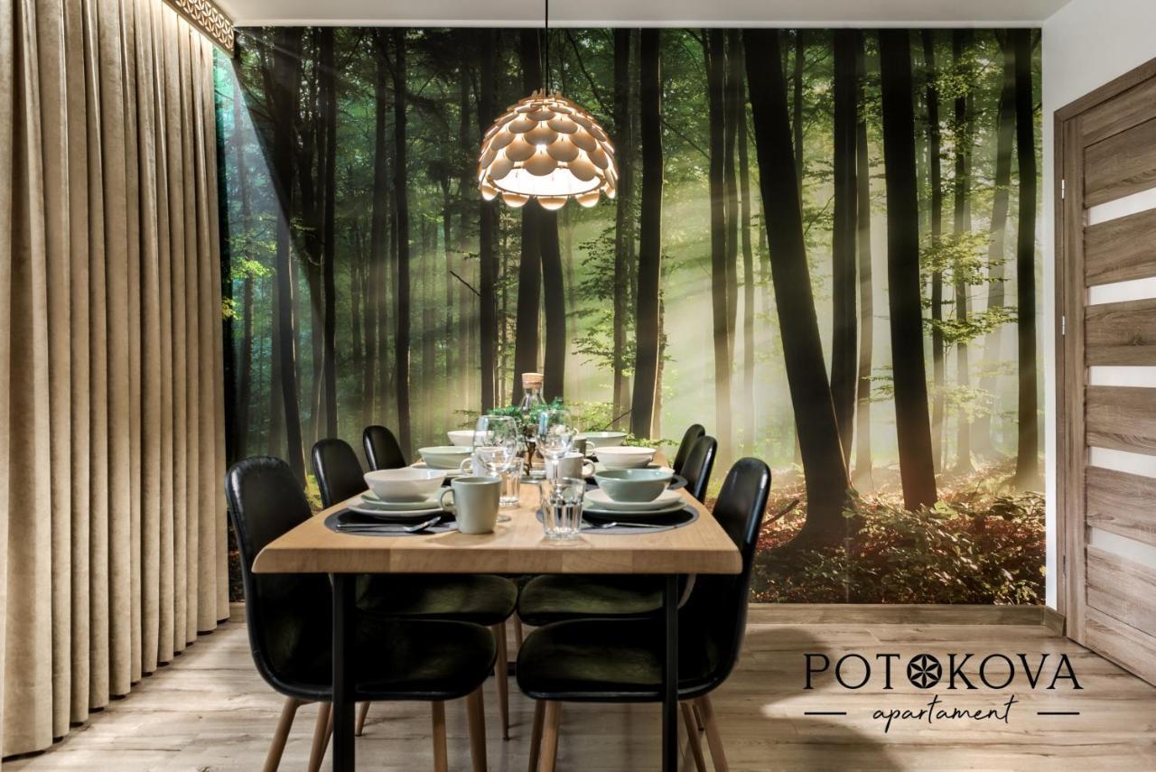Potokova Apartament Centrum Закопане Екстер'єр фото