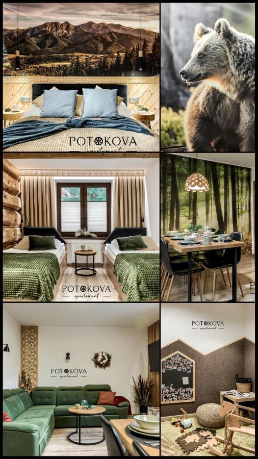 Potokova Apartament Centrum Закопане Екстер'єр фото